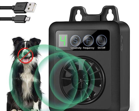 TBD06049993_B1.jpg@fdce4919cadd6b36ff54e8339cf5b141