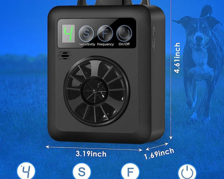 TBD06049993_B2.jpg@f59969cb9ef486f37b47a47df412aab1