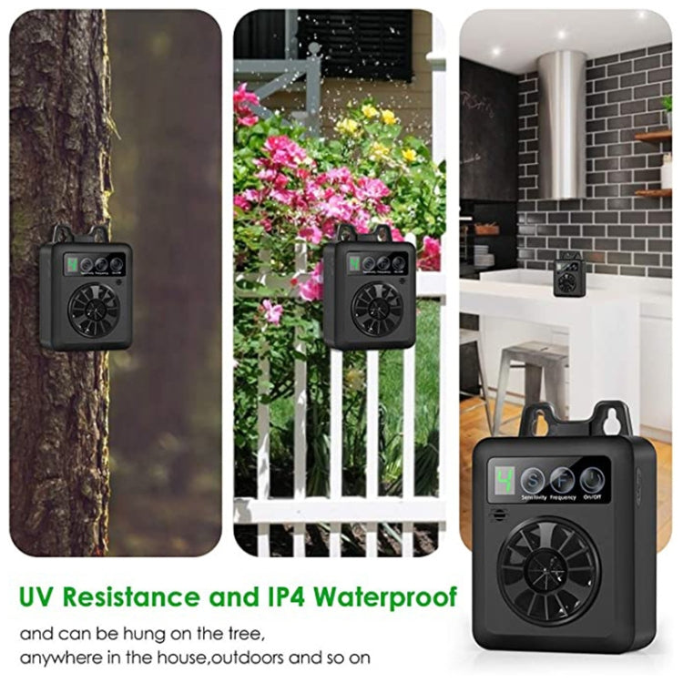 TBD06049993_B5.jpg@84d78e33ac13078bb09b26c05e461163