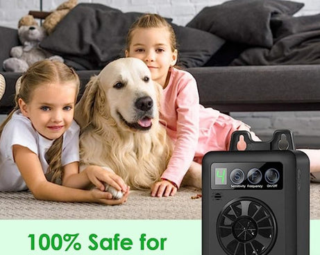 TBD06049993_B6.jpg@a023dfb88cf06761ae2e0698af36cd59