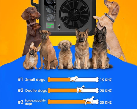 TBD06049993_B9.jpg@2a7d3e28bd9c515c85f02d5f715daab2