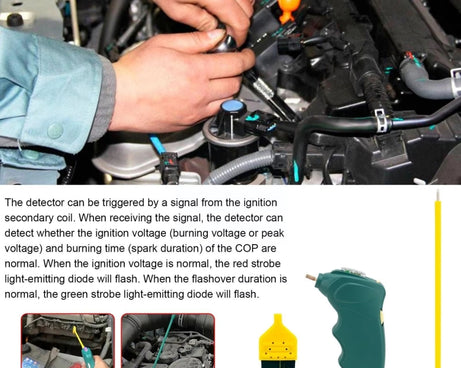 TBD06055917_B3.jpg@c412997820be0a5e5dc54d52ea3e56be