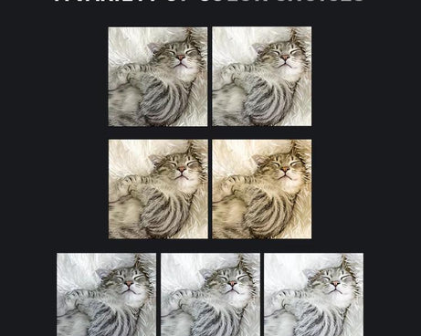 For DJI Osmo Pocket 3 JSR Fixed Frame Head Fill Light