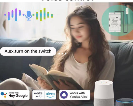 DIY-WT-09 20A Temperature Switch Smart Thermostat, Compatible With Google / Alexa / Yandex Alice / IFTTT
