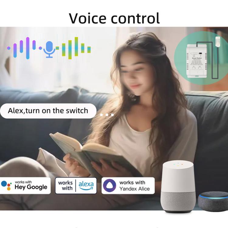 DIY-WT-09 20A Temperature Switch Smart Thermostat, Compatible With Google / Alexa / Yandex Alice / IFTTT