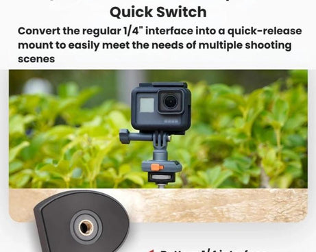 TBD06062844_B3.jpg@35db4406d7540def4e8841b9f4374be2