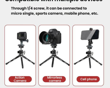 TBD06062844_B5.jpg@e0937bd568f673203e0188c91b8008a0