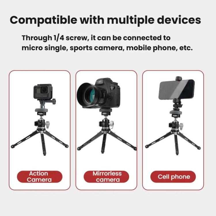 TBD06062844_B5.jpg@e0937bd568f673203e0188c91b8008a0