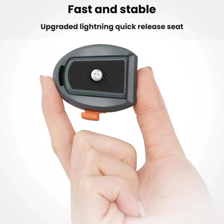 TBD06062844_B6.jpg@d8106af6d8ffb3e7801031eac415ca8d