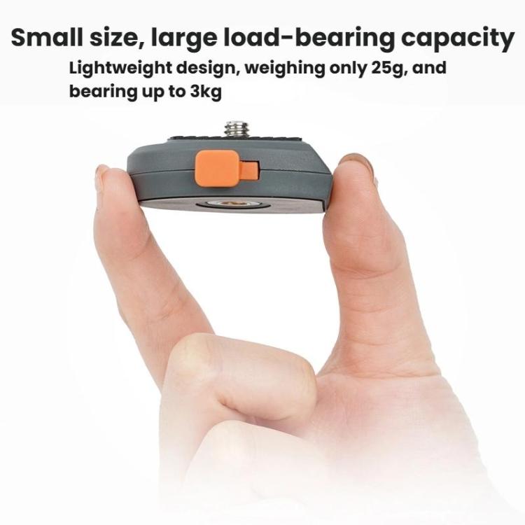 TBD06062844_B7.jpg@6245300b58855bf8eeb0ee3f5dca5350