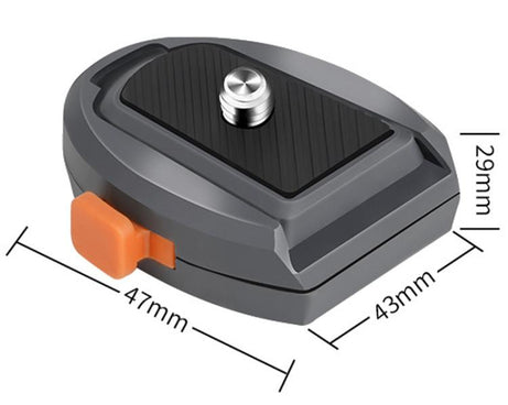 TBD06062844_B8.jpg@5efa1d754e20883b67c560ac55269b14