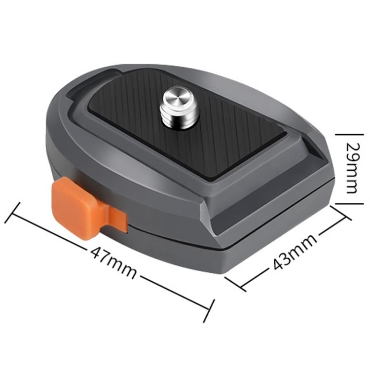 TBD06062844_B8.jpg@5efa1d754e20883b67c560ac55269b14