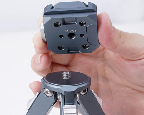 TBD06062848_B9.jpg@558dd28ba91b7889e0e8b21cb9155b91