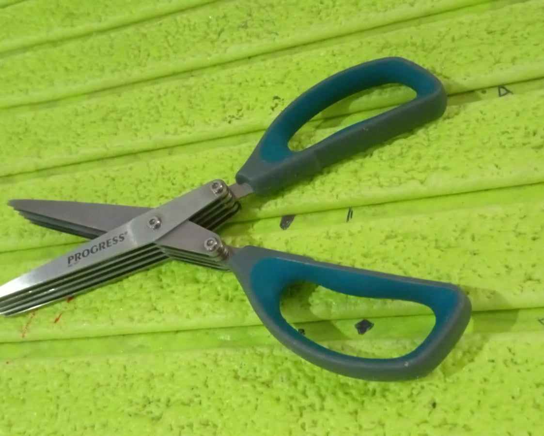 Multifunction Vegetable Stainless Steel Herbs Scissor with 5 Blades (1 Pc)