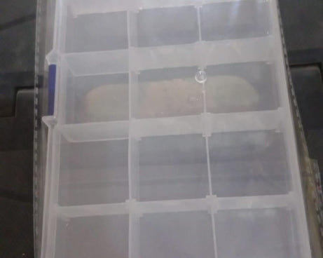 15 Grids Jewelry Organizer Plastic Jewelry Organizer Box Clear Jewelry Organizer Box Plastic Bead Organizers with Adjustable Dividers for Herbs Pills Bead, Jewelry, and Other Small Item (1 Pc)