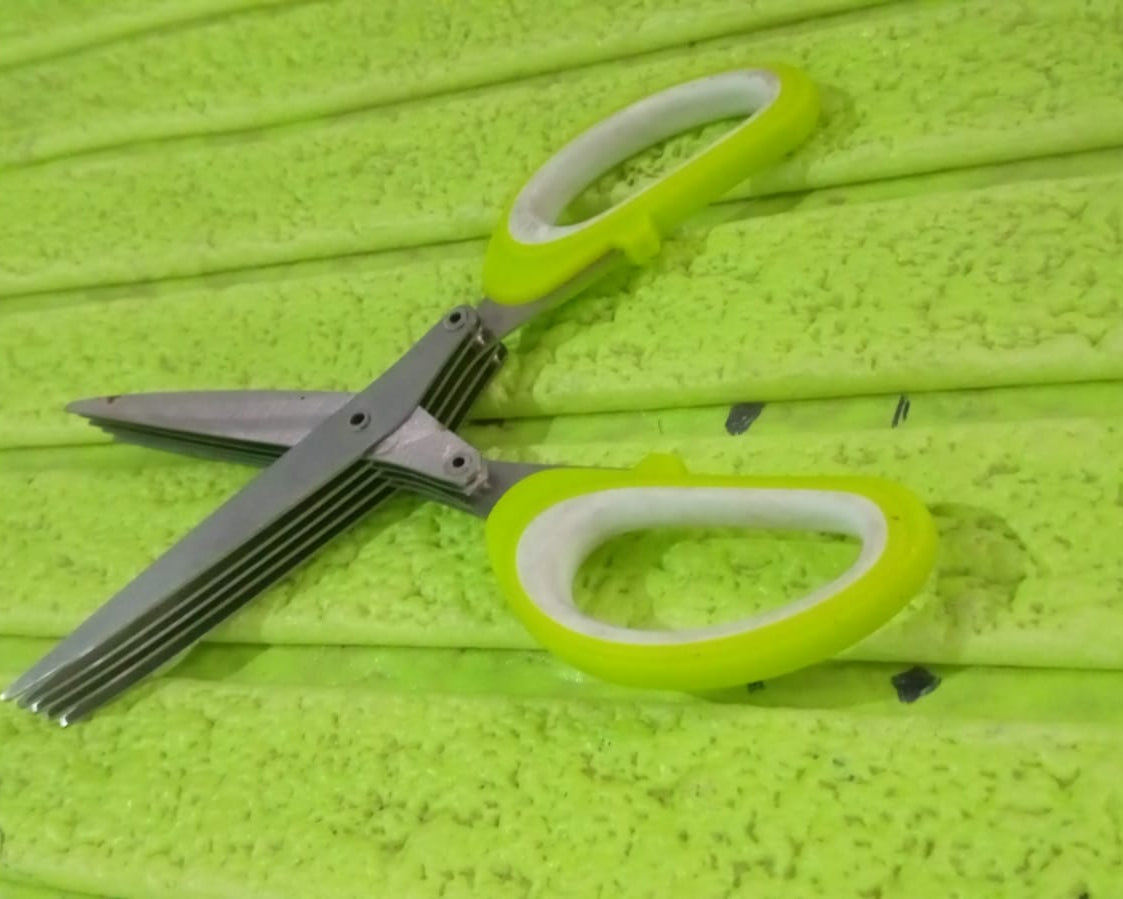 Multifunction Vegetable Stainless Steel Herbs Scissor with 5 Blades (1 Pc)