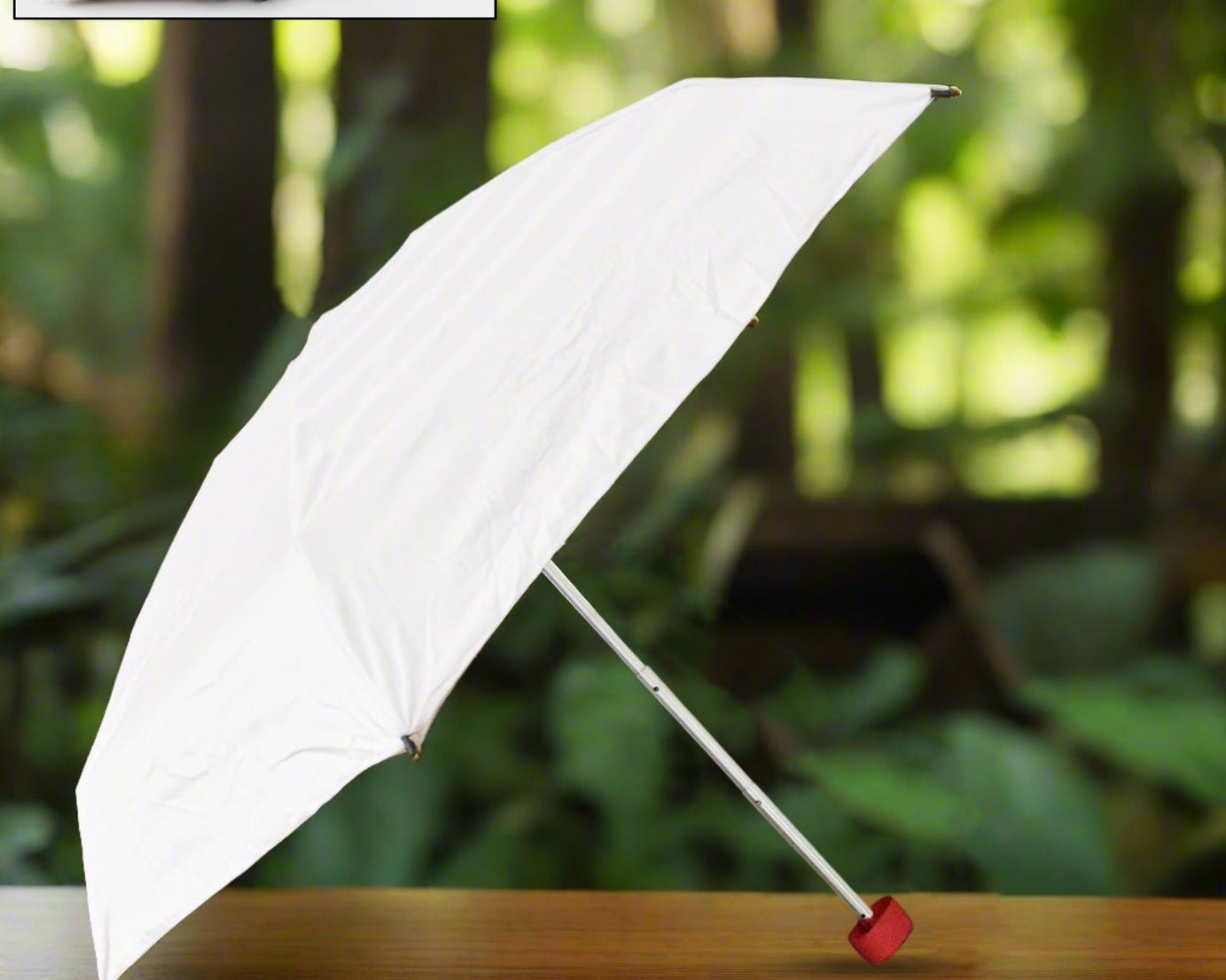Foldable Umbrella