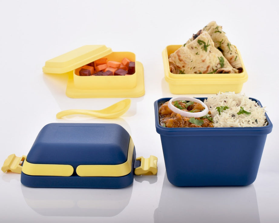 Airtight lunch box with handle and secure push lock