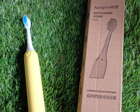 Adult Waterproof Electric Toothbrush 1 Head Battery Operated Toothbrush (1 Pc / Battery Not Included / Mix Color)